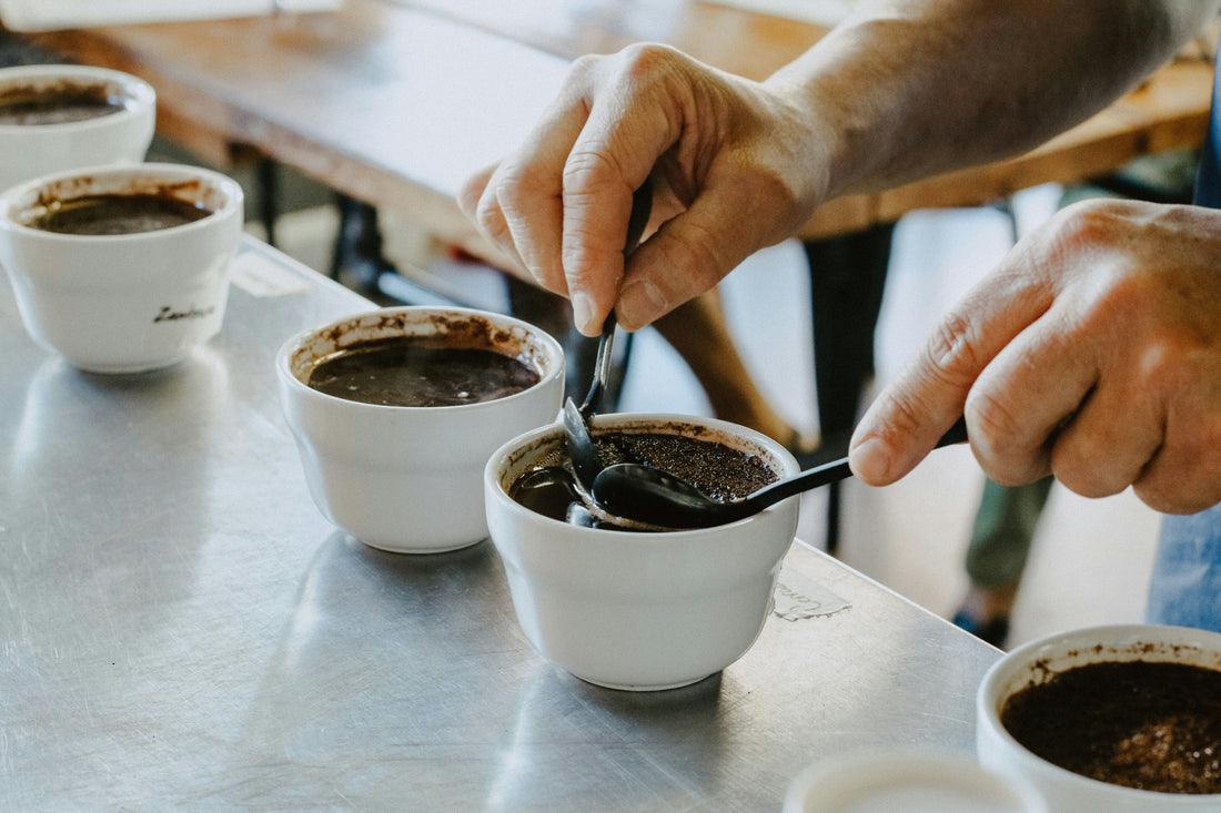Tasting Notes: How to Read Them